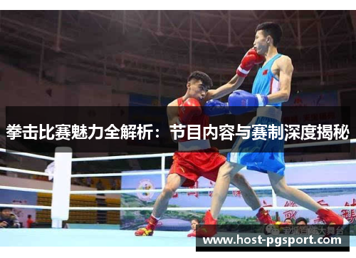 拳击比赛魅力全解析：节目内容与赛制深度揭秘