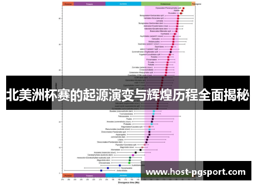 北美洲杯赛的起源演变与辉煌历程全面揭秘